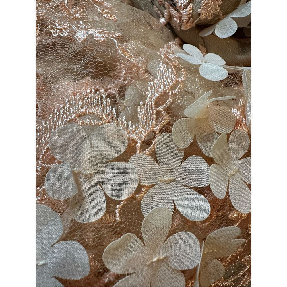 Dress the Population Floral Embroidered Maxi Dress in Blush - Picture 10 of 11